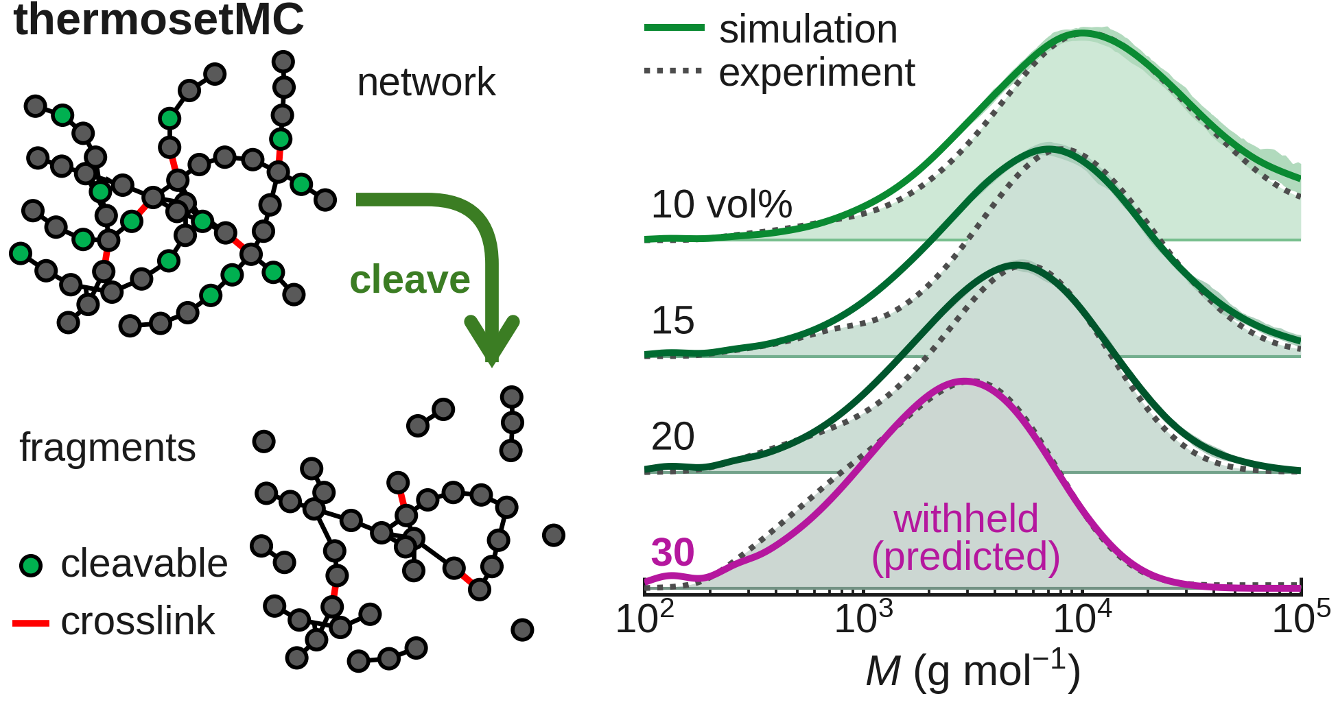 thermosetMC simulates cleavable polymer networks and predicts fragment molecular-weight distributions compared with experiments.